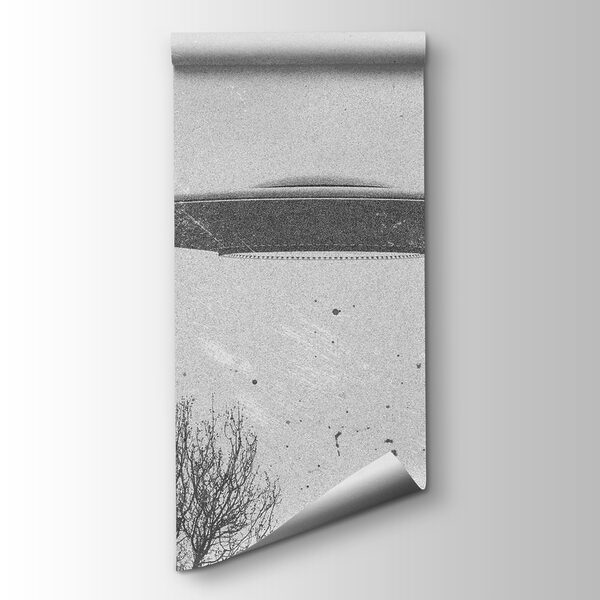 Ufo flying over trees Ufo flying over trees