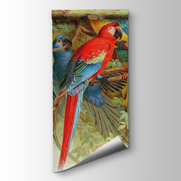 Group of colorful birds on a tree branch Group of colorful birds on a tree branch