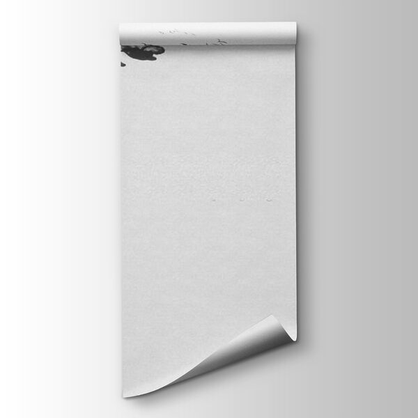 Black and white image of a dragon Black and white image of a dragon