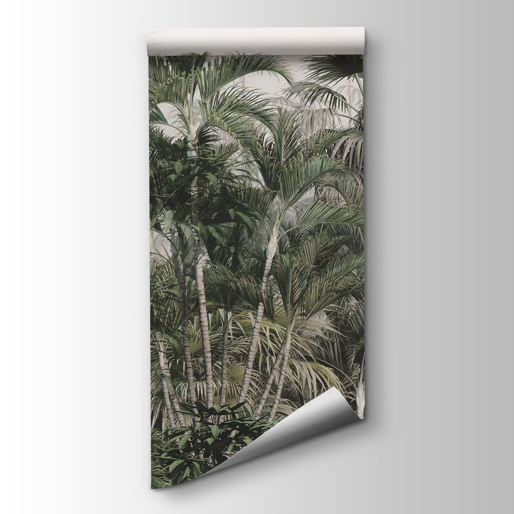 Group of palm trees Group of palm trees