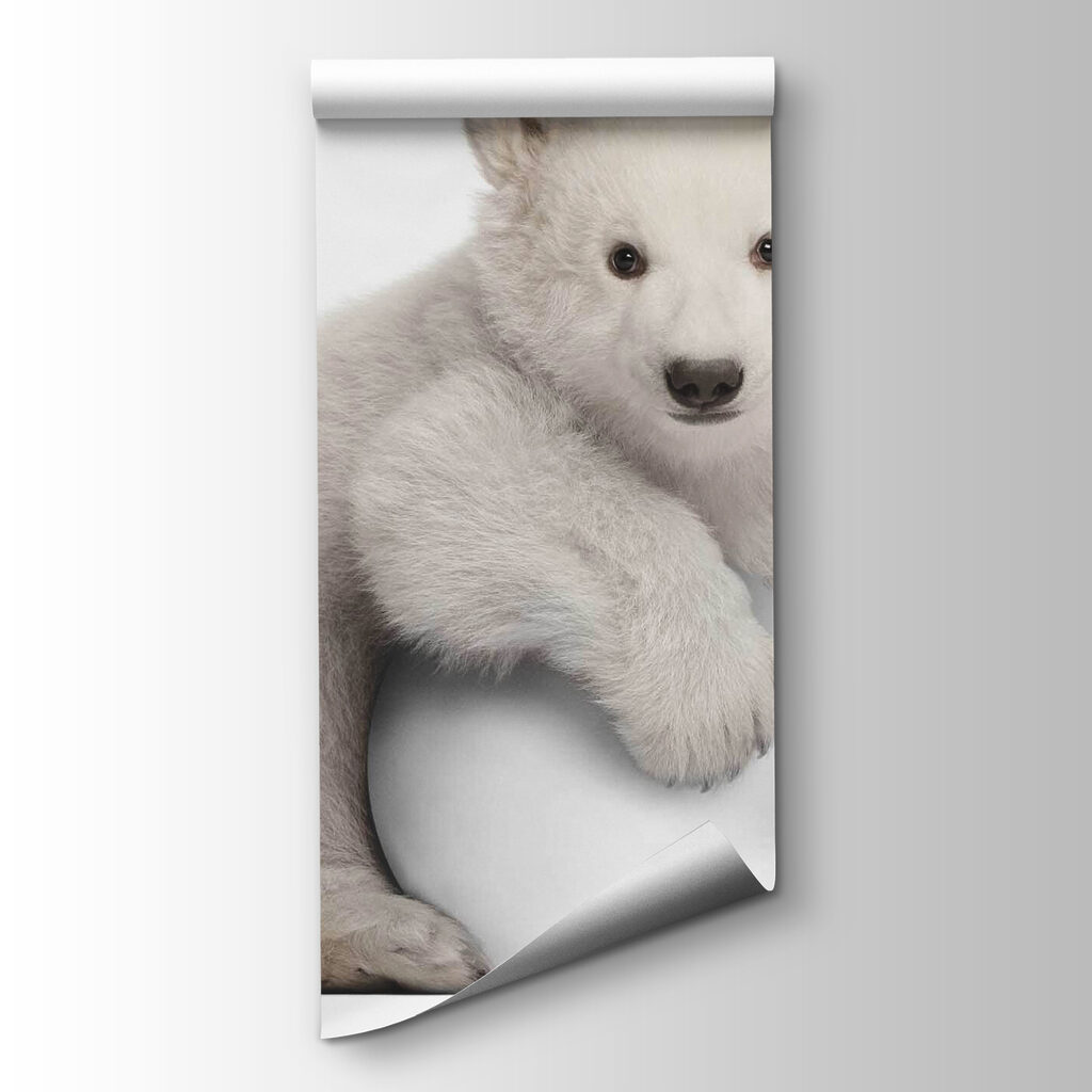 Polar bear holding a ball