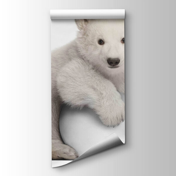 Polar bear holding a ball