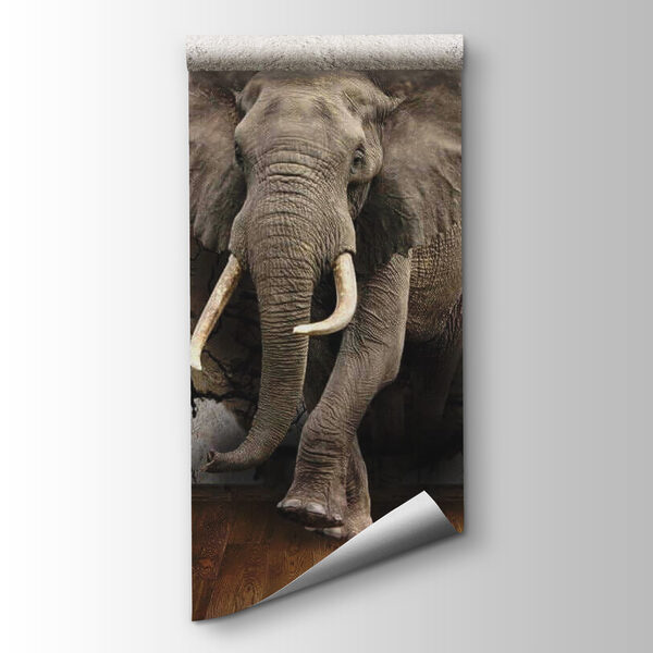 An elephant coming through a wall