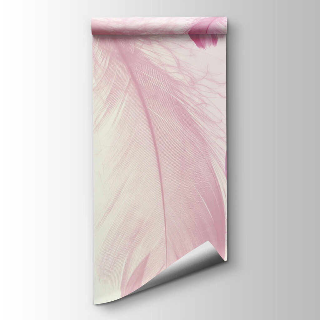 Group of pink feathers