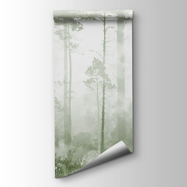 A foggy forest with tall trees
