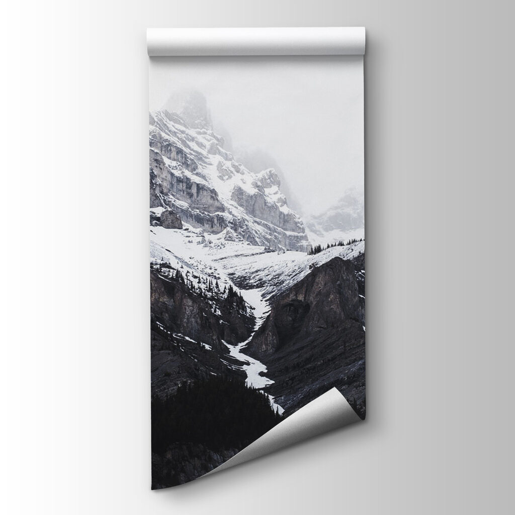 A snowy mountain with trees