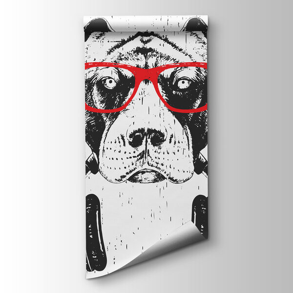 A dog wearing glasses and headphones