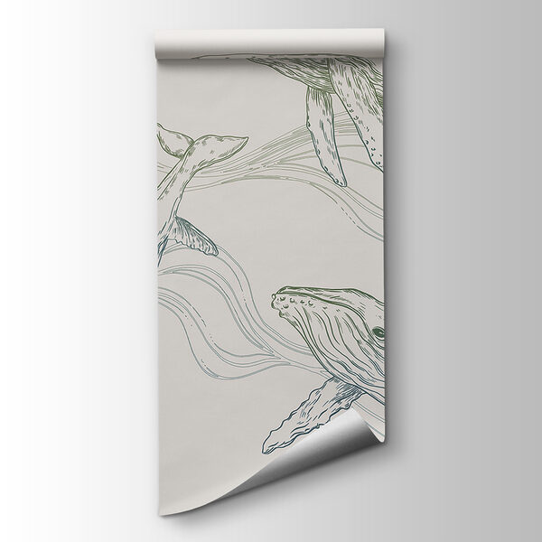 A group of whales swimming in the water