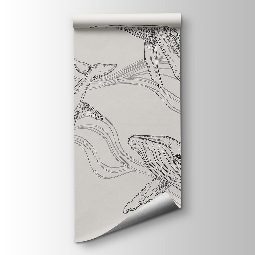 A group of whales swimming in the water A group of whales swimming in the water