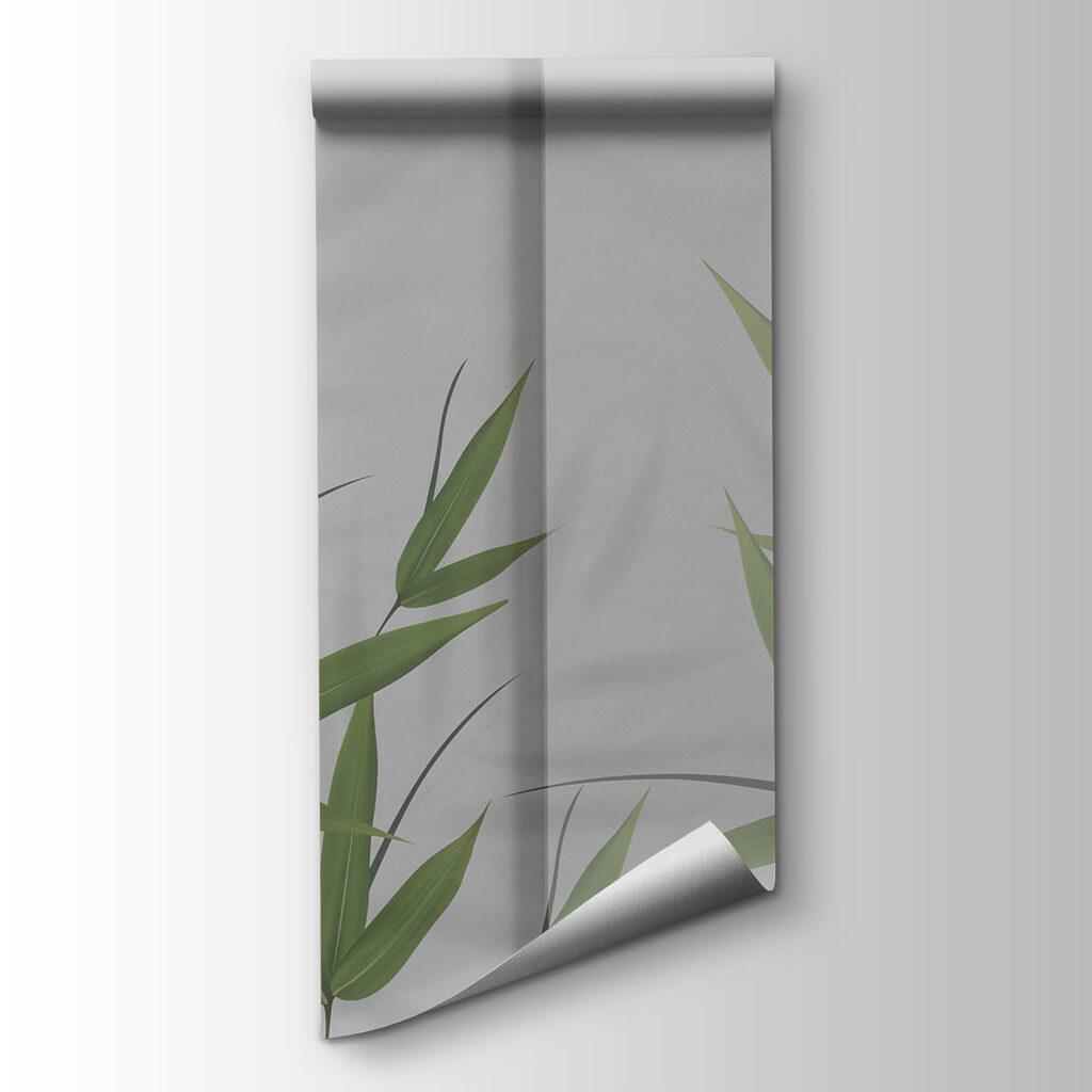 A green leaves on a white surface A green leaves on a white surface