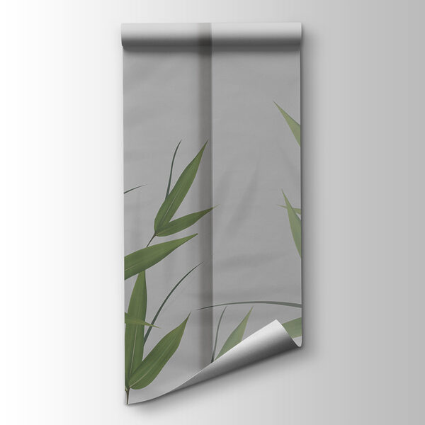 A green leaves on a white surface A green leaves on a white surface