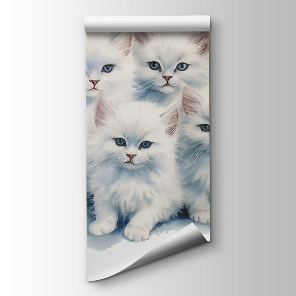 A group of white kittens A group of white kittens