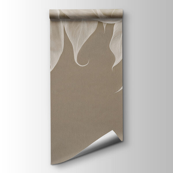 Close up of leaves Close up of leaves