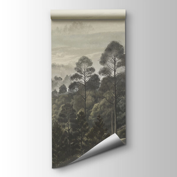 Landscape of trees and fog