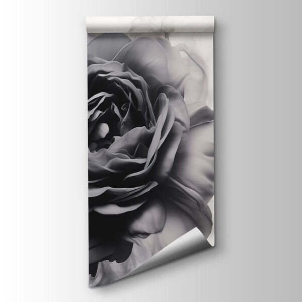 Black and white image of a rose