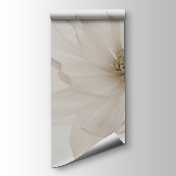 Delicate petals of pure elegance