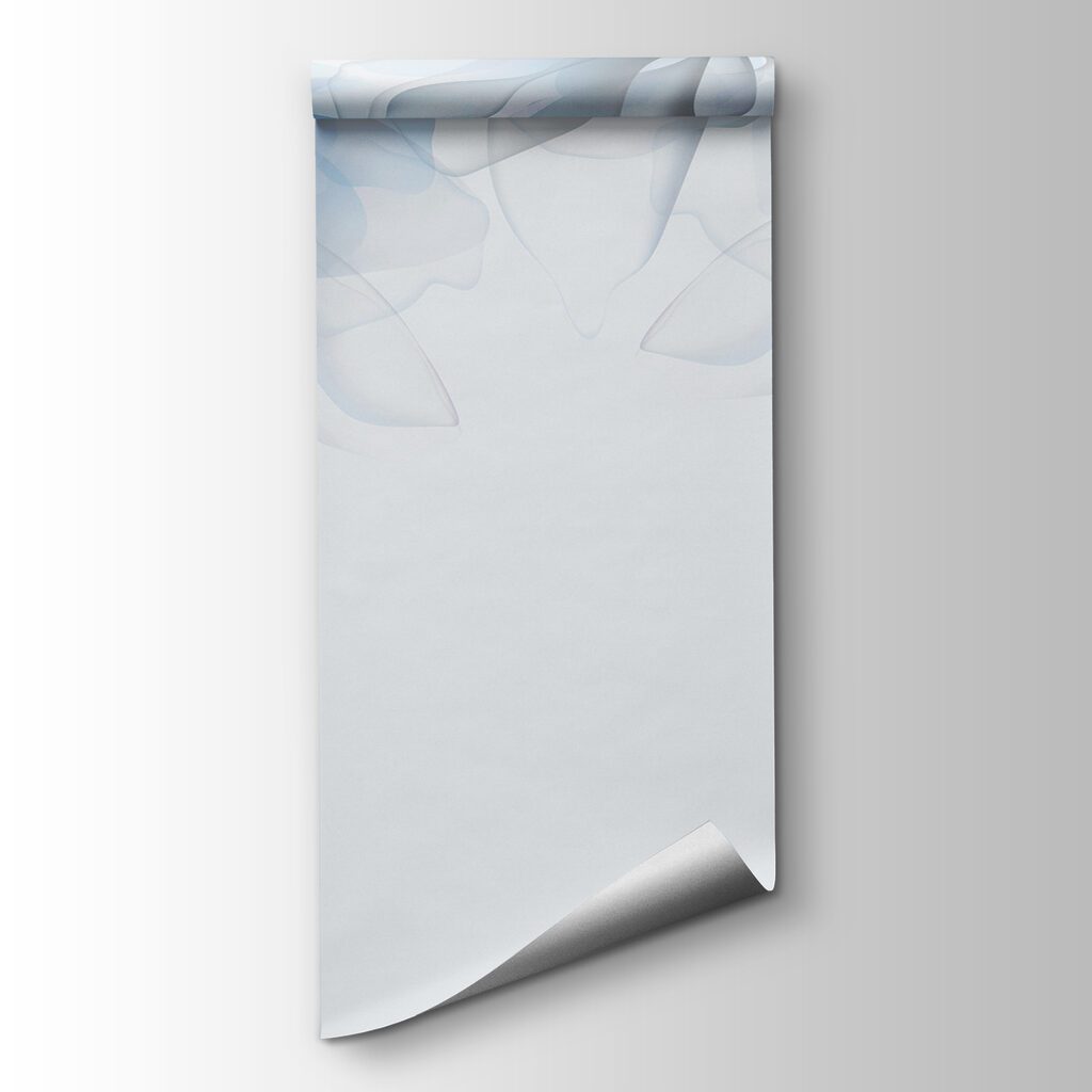 Group of flowers with white and blue flowers Group of flowers with white and blue flowers