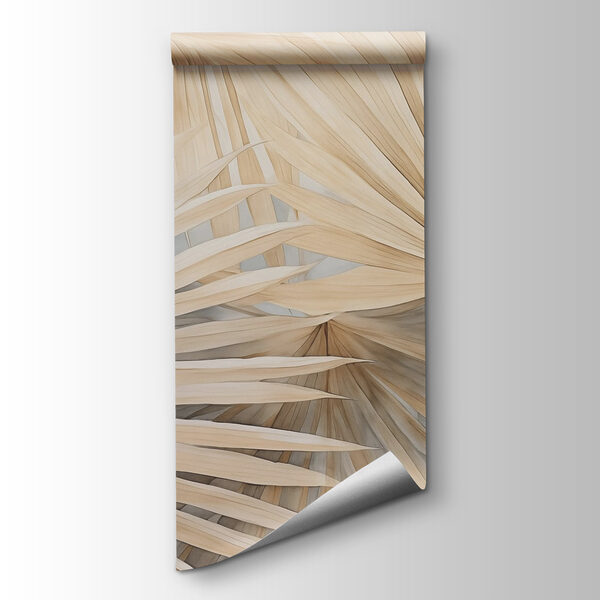 Nature’s elegant fan-shaped patterns Nature’s elegant fan-shaped patterns