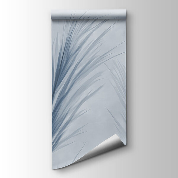 Delicate blue foliage in soft hues Delicate blue foliage in soft hues