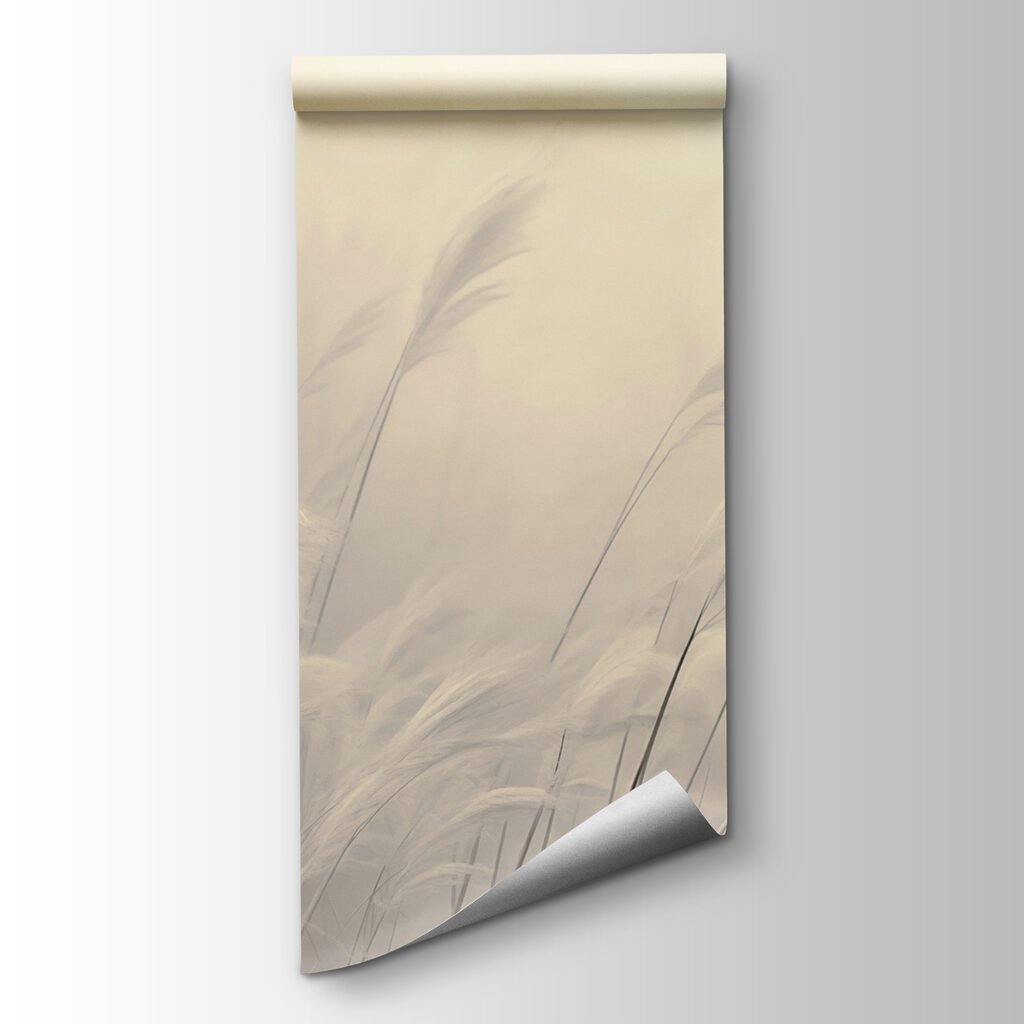 Gentle grasses in soft light Gentle grasses in soft light