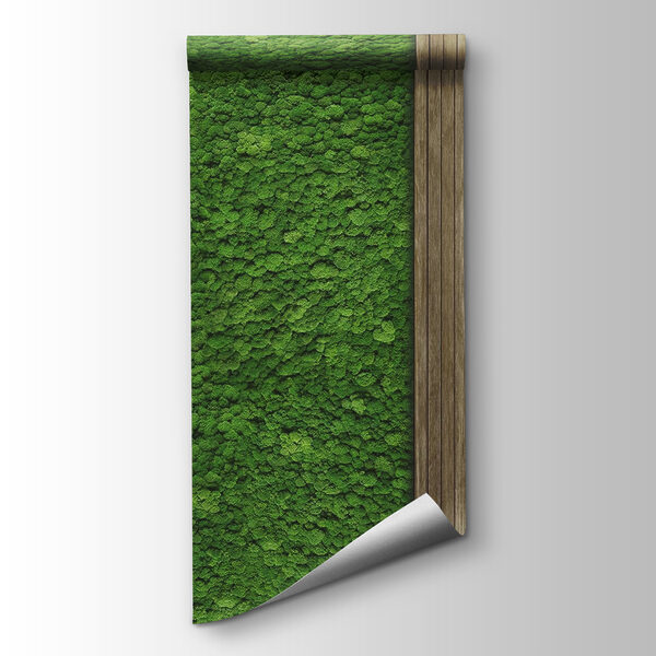 Wood plank on a green wall Wood plank on a green wall