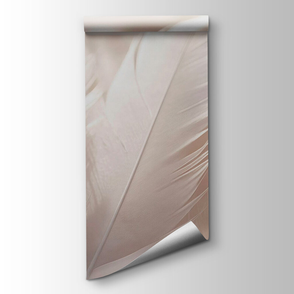 Soft elegance of delicate feathers Soft elegance of delicate feathers