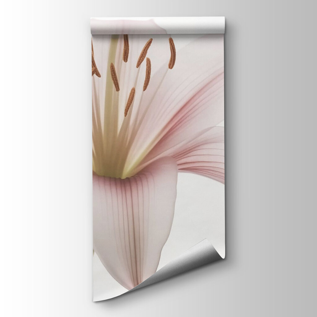 Delicate petals, soft and serene Delicate petals, soft and serene