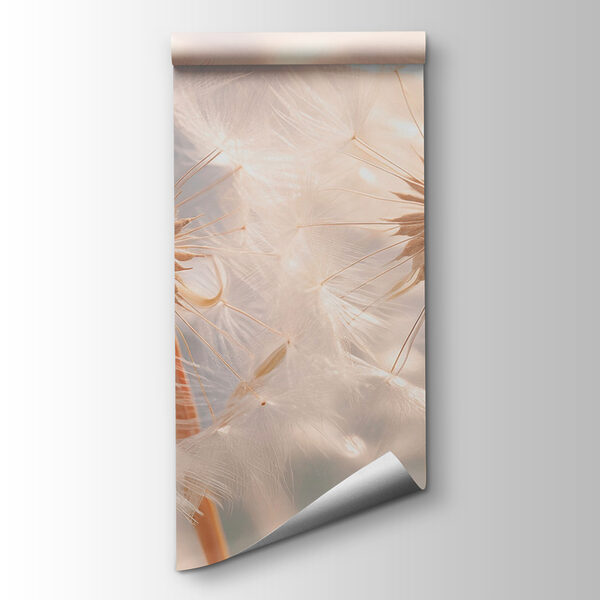 Delicate dandelion seeds in soft light