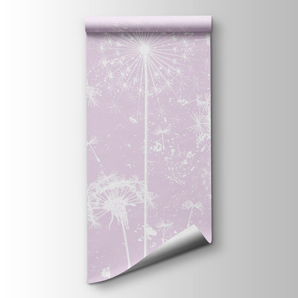 White dandelion flowers White dandelion flowers