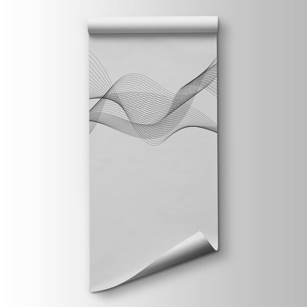 Black and white lines