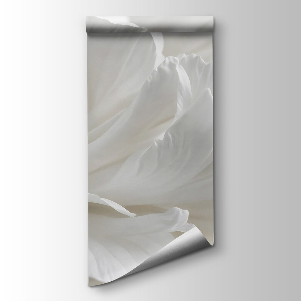 Delicate petals in soft embrace