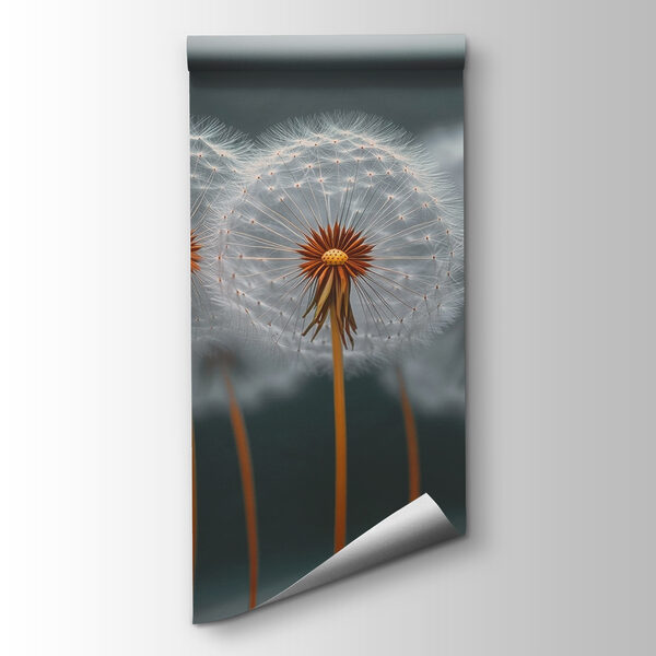 Group of dandelions with seeds