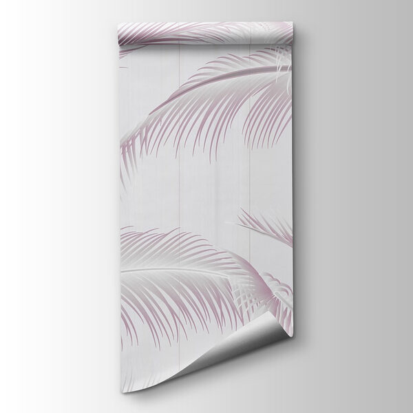 Group of feathers on a white background