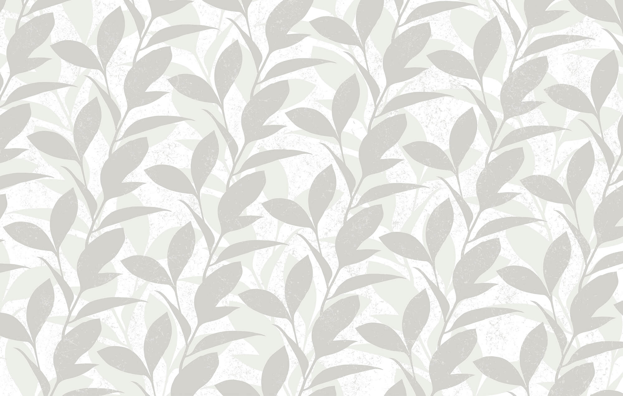 Pattern of leaves on a white background Pattern of leaves on a white background