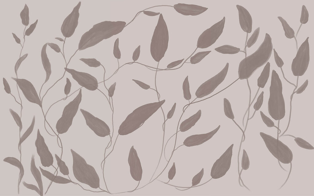 Drawing of leaves on a white background