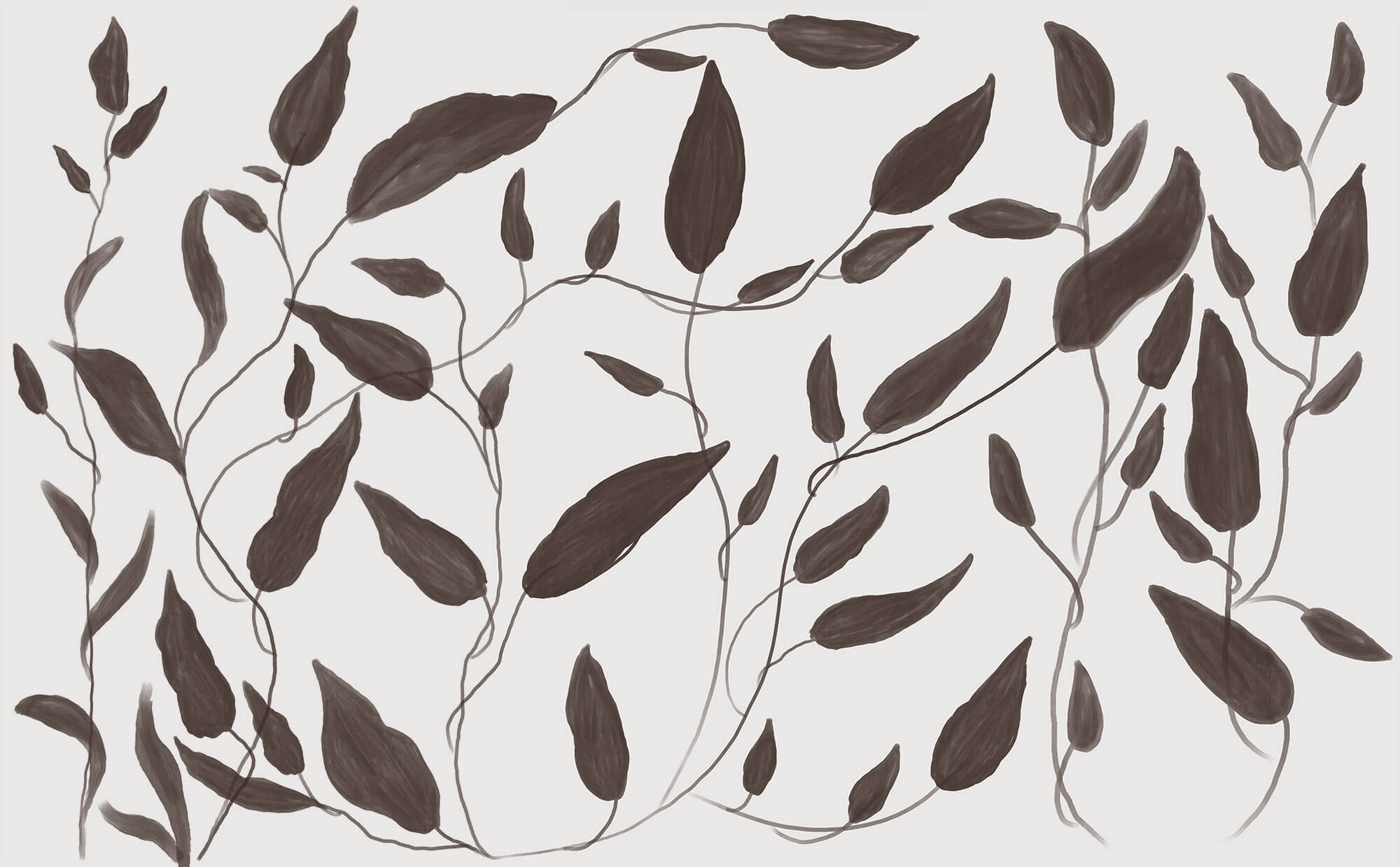Drawing of leaves on a white background
