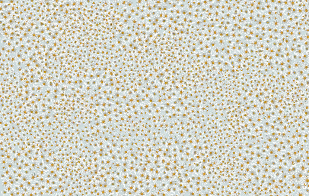 Pattern of small orange stars