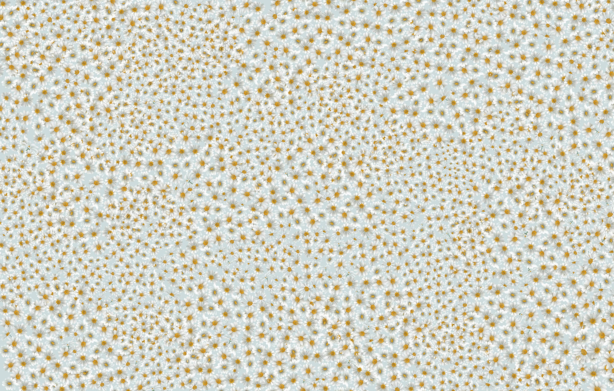 Pattern of small orange stars