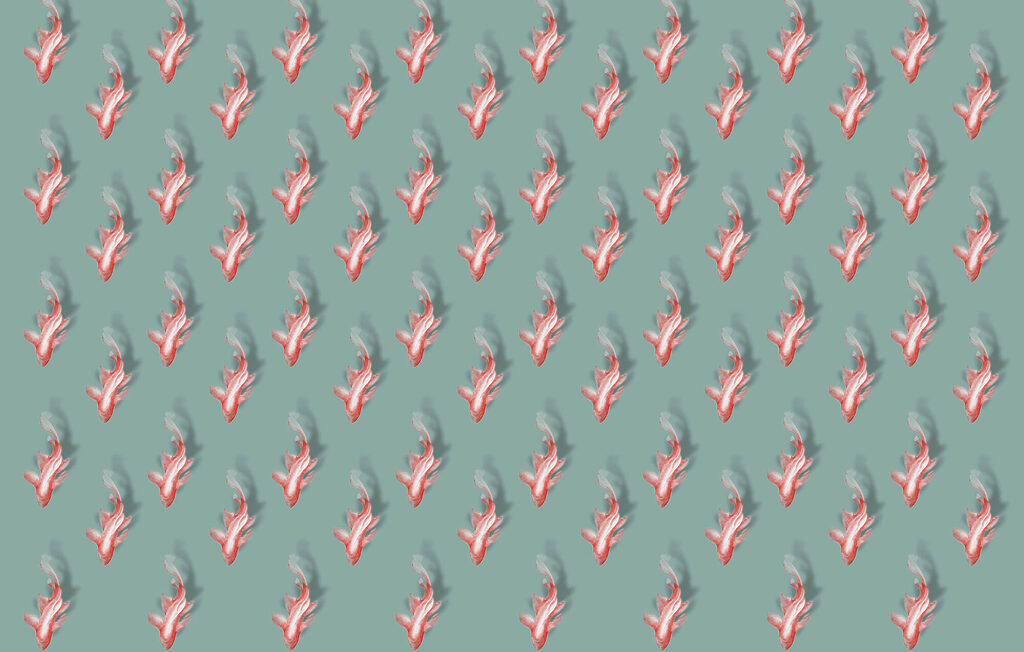 Pattern of fish on a blue background