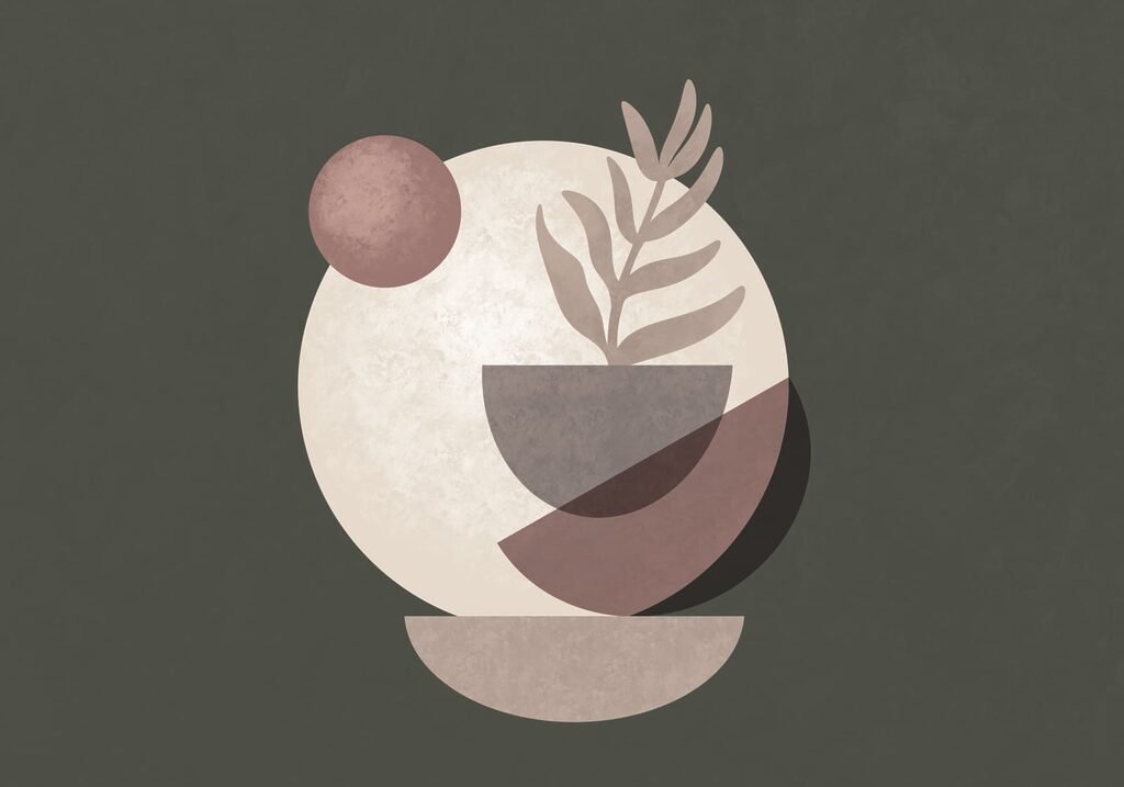 Plant in a bowl