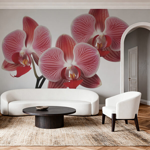 Vibrant blooms in soft pink hues Vibrant blooms in soft pink hues