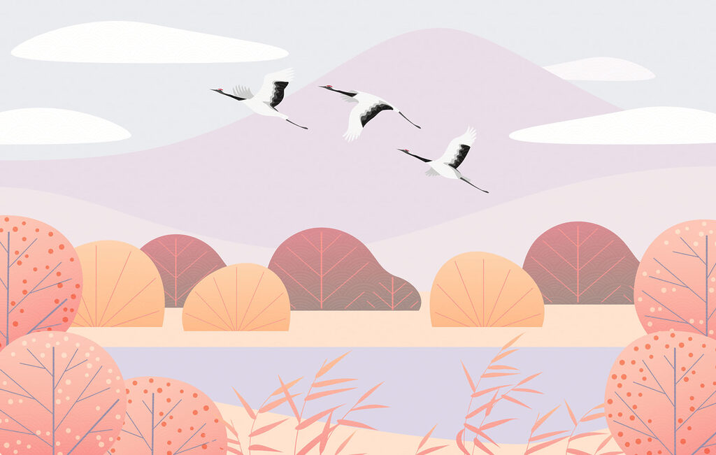 Birds flying in the sky Birds flying in the sky