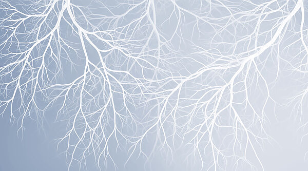 White branches on a blue background