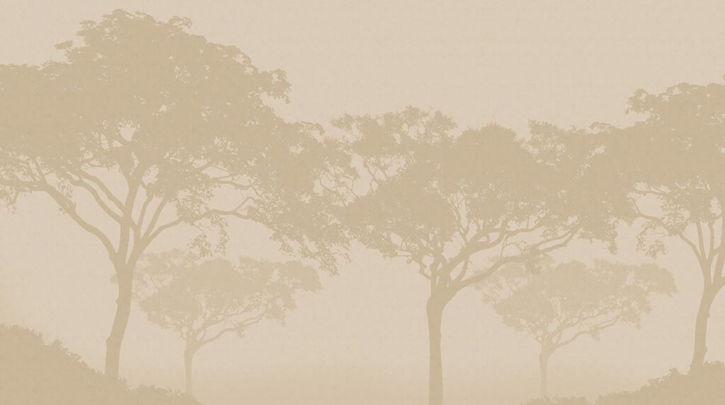 Group of trees in a foggy environment