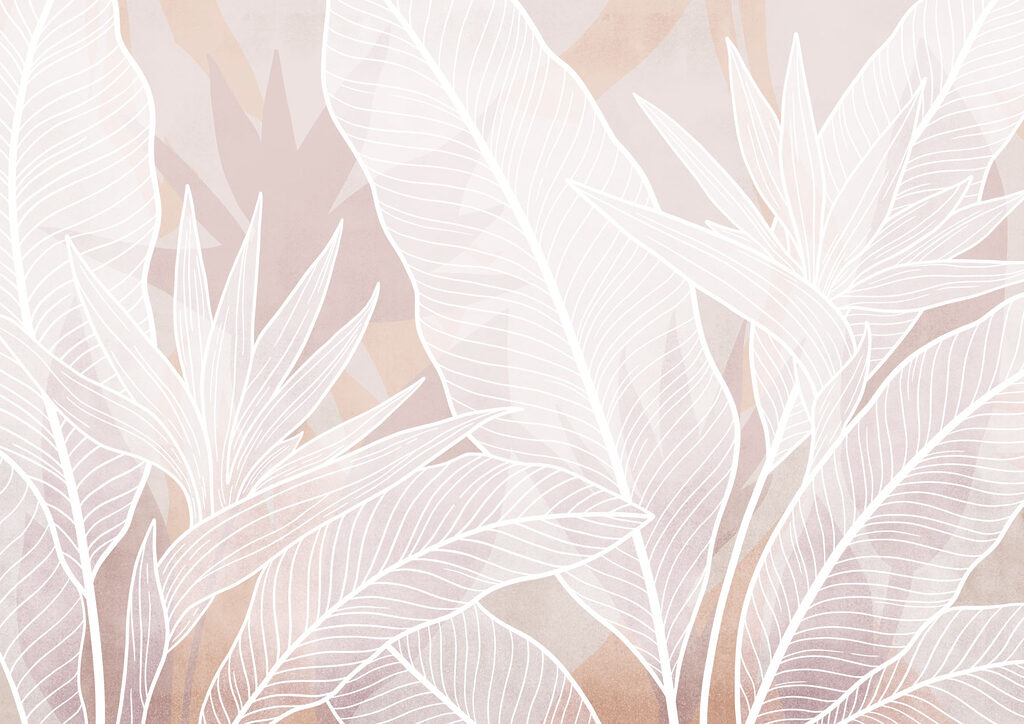 White leaves on a pink background White leaves on a pink background