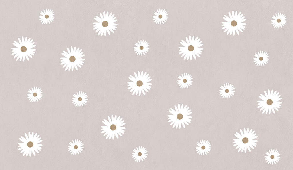 White flowers on a gray background White flowers on a gray background