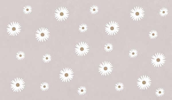 White flowers on a gray background White flowers on a gray background