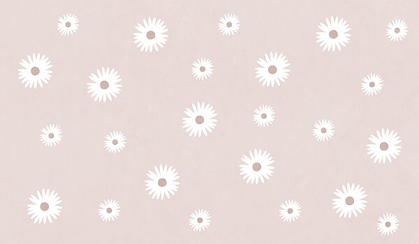 White flowers on a pink background