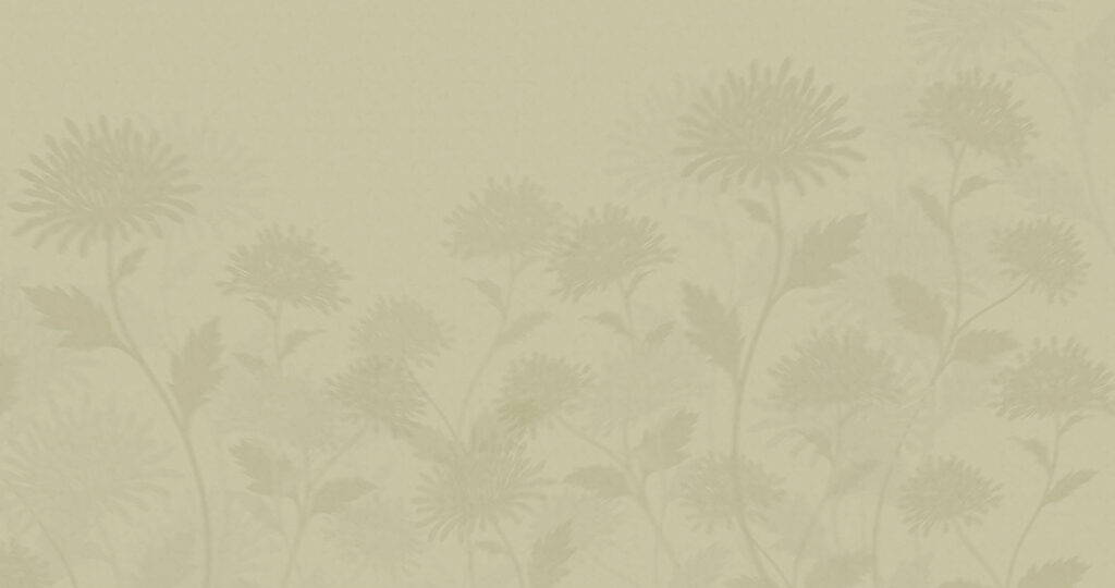 White background with flowers