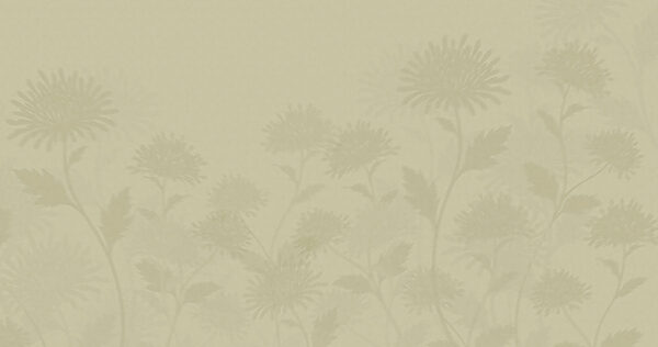 White background with flowers